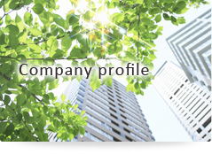 Company profile